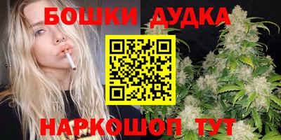 стаф Кимры