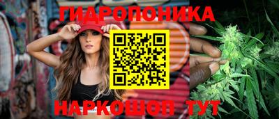 а пвп мука Кингисепп