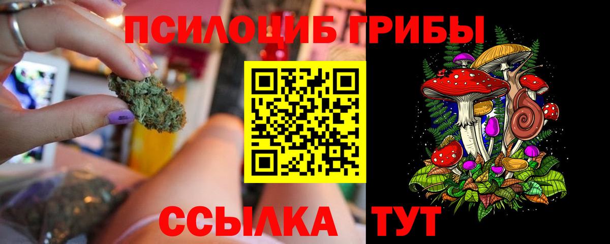 Псилоцибиновые грибы Psilocybe Кохма